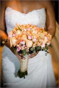 083Ricardo-Cintra-Fotografia_MG_0871