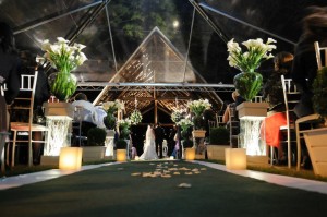 166920_1540980102263_1767769565_768696_39974202_n