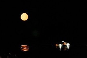 299725_195046483909316_100002118970771_458655_1656963441_n