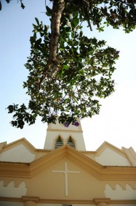 309772_287131704639666_100000285170701_1148319_2118653973_n