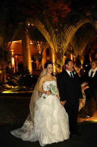 314383_250251508356235_100001141640702_695993_178126979_n