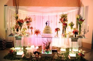 314857_119306711502133_100002684130757_81320_5101001_n