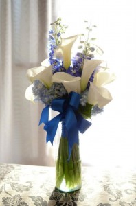 382938_2631532680972_1635046501_2456906_609469005_n