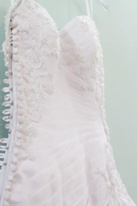 384049_289414057770835_100001067309272_822771_956673602_n