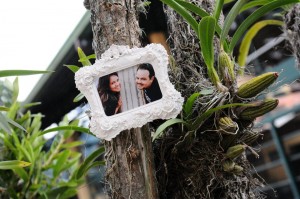 398421_241025302652577_100002353287689_533686_479693724_n