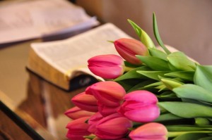 PQAAACpBZDwcfbtm2_h7ZyfFBpkhZkAJbDDQ-cWRxq9gMTgB1goQs1lpO5lemQeKHFiw0LmqEDOJJEK-UgmVNVF-z4sAm1T1UE373_Fh3pE2p6wNXBFHarg0k6Ej