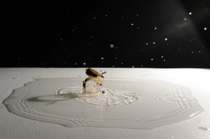 PQAAAEyObmrtAHaWtEz-3mQ0dPgyWADBLl3q3ckuXRyY-pnIUAs7zaoZKUOhpb5AFeg_DnoVHlDQlSC0QRh_gTzftokAm1T1UEDywXhYemT9TWttuI2xb0m9N~1