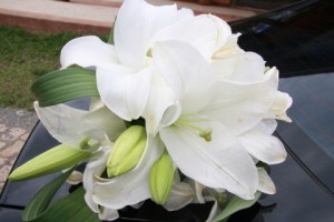 PQAAAO4dyM8YcUSe5Rro-mkZEk536oLmilKPjhVGllEawlLP6aYyJ2cG7sC9VoRYlZphaucHkiDdUaisLAMv60vb02IAm1T1UCSwXat8ku5LZQSlrwkKuk9Ob~1