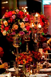 1459886_3718447696493_43720596_n