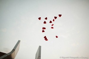 1497553_3718258651767_1312271760_n