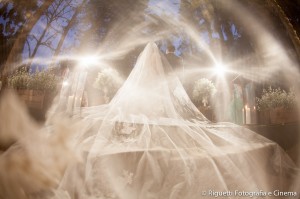 Taciane_Frederico_1849