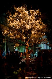 Taciane_Frederico_3854