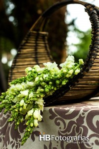 1545198_430610010404409_223694678_n