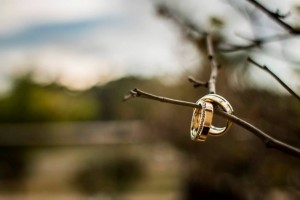 1557563_10152414420547969_2262339946230607142_n