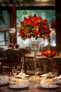 10274146_4093149103794_5349845718433204058_n