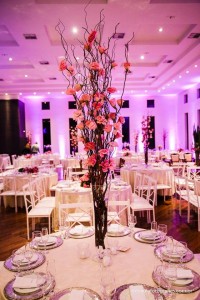 10408893_433451213461650_4423738799320341196_n