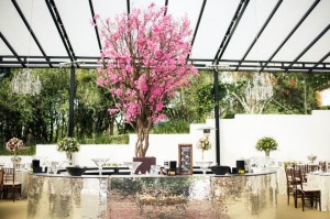 10454328_309483709229134_1823748819201944695_n