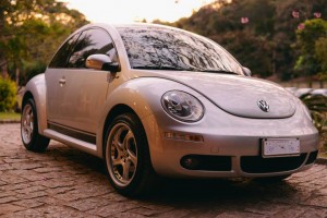 10342882_10202482273882436_6921580156797207629_n