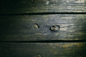 10350628_10202482348564303_8155207748715616433_n