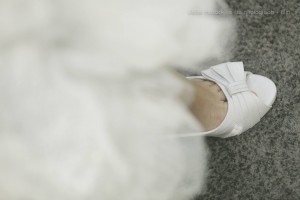 10557009_701601273228177_3787196695236504841_o