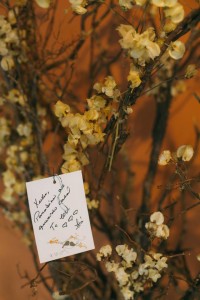 10570391_10202482175519977_8190652138928278175_n