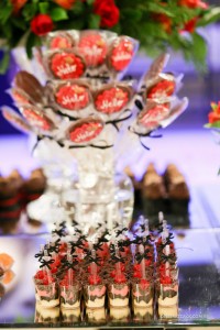 11258912_10200574146832864_295911410121700257_o