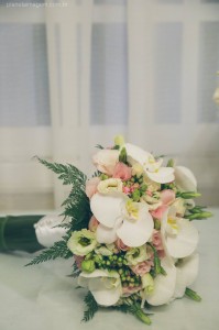 10984504_10200439607829473_4543832210525510369_o