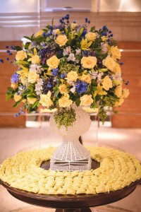 11695031_10154126774823146_4157952146067078764_n