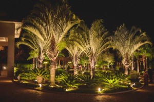 11700927_10154126639408146_6188922406625597923_n