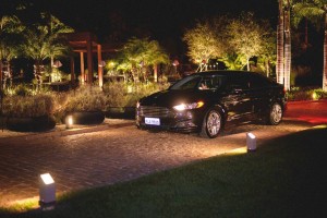 11737948_10154126657543146_7464262086465820500_n