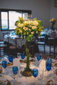 11882379_10200901499296471_4979163527567015432_o