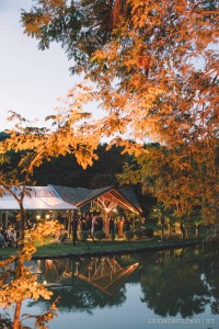 11923286_10200901475895886_2534302743630397473_o