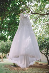 11927831_10200901475415874_1859593219490894935_o