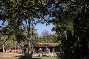 11036529_10201074053170210_1749010539418938858_o