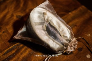 12031637_10201074059010356_6478594447674846055_o