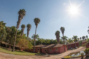 12109835_10201074043849977_5651706187314126549_o