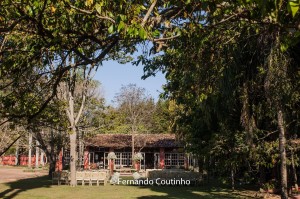 12110036_10201074050730149_275756189664591309_o