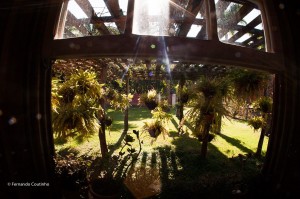 12138413_10201074044009981_6331999636736049330_o