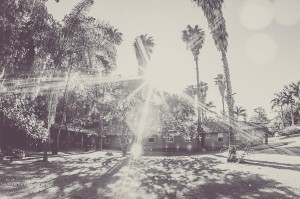 12140181_10201074047570070_4504764858215817368_o