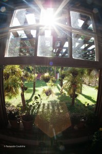 12141088_10201074045490018_4702722074668922107_o