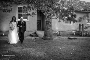 Fernando Coutinho Fotografia e Cinema