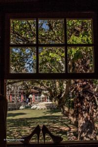 Fernando Coutinho Fotografia e Cinema