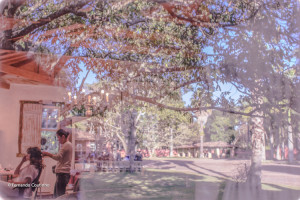 Fernando Coutinho Fotografia e Cinema