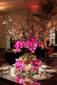 12095288_634396250033347_1307061020842947079_o