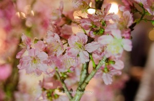 12132371_634394990033473_3612663797915870627_o