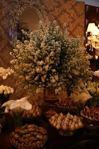 12231515_782865281839477_553005926_n