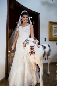 12362978_10201213816984218_7052016006089241505_o