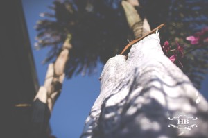 12184032_739711739494233_3695492496562192091_o