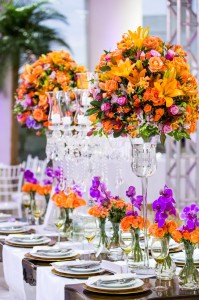 12485839_935618279855159_1303325022005857605_o