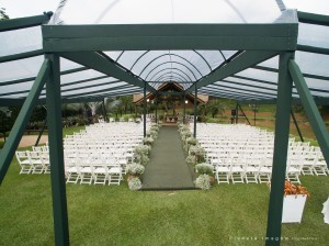 12657850_1153376428019919_302897494622011207_o